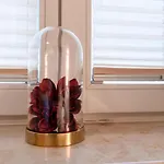 Ferienresidenz Schlossblick كيدلينبورغ